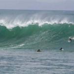 Panga Drops